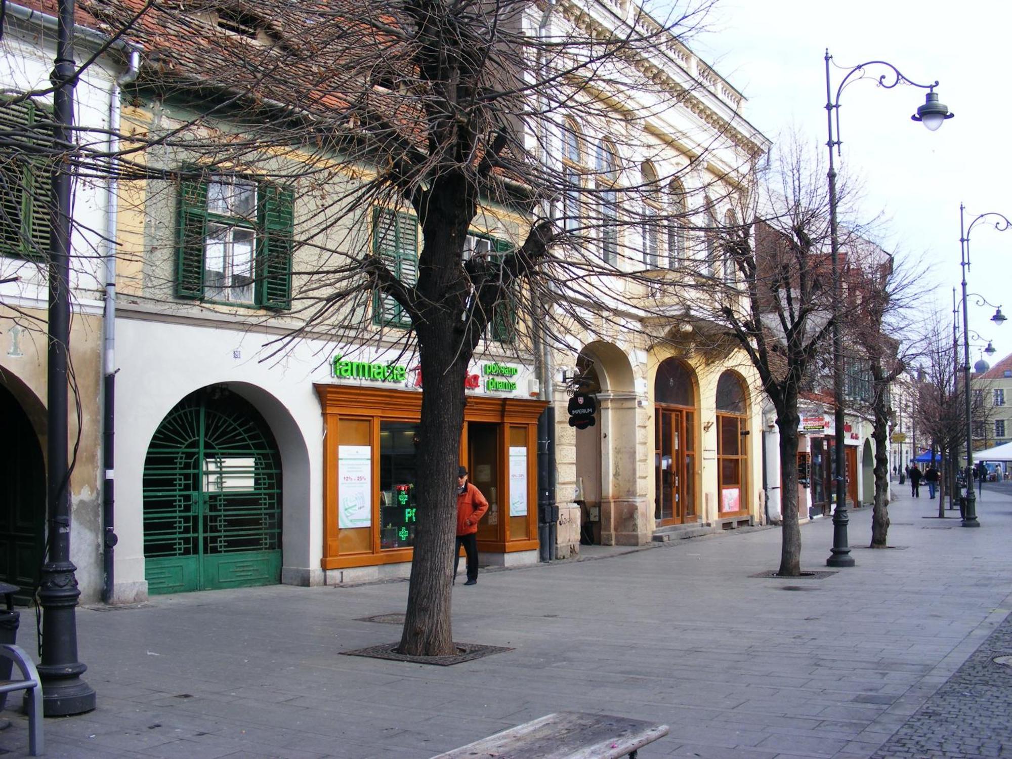 Apartment Gabriel Sibiu Buitenkant foto